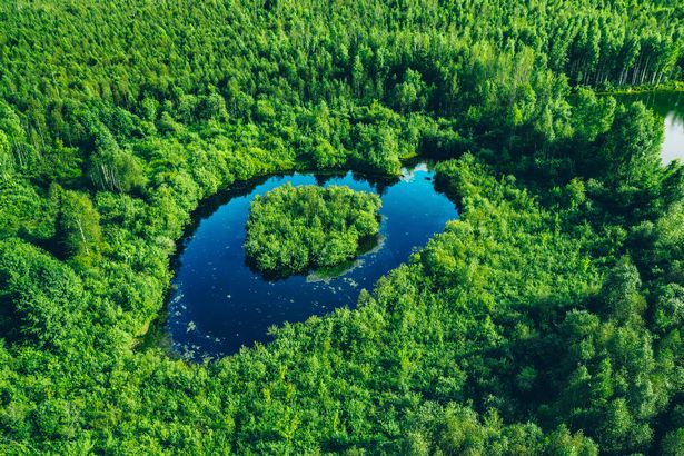 Aerial view of blue lake with island and green forest. Nature background. Travel, outdoor, tourism, vacation, holiday, journey. Beautiful wild landscape.