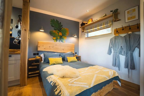 Luxury dog-friendly forest cabin is perfect place for Autumn escape - The Nest