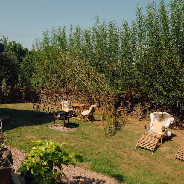 Luxury dog-friendly forest cabin is perfect place for Autumn escape - The Nest