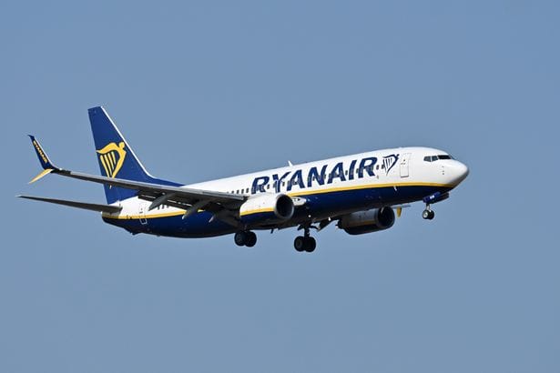 Ryanair says nearly 80% of passengers already use digital boarding passes - meaning around 40 million don't 