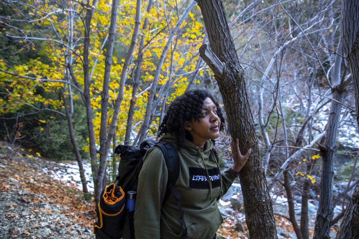 A hiker rests their hand on a tree near another tree with bright yellow leaves.