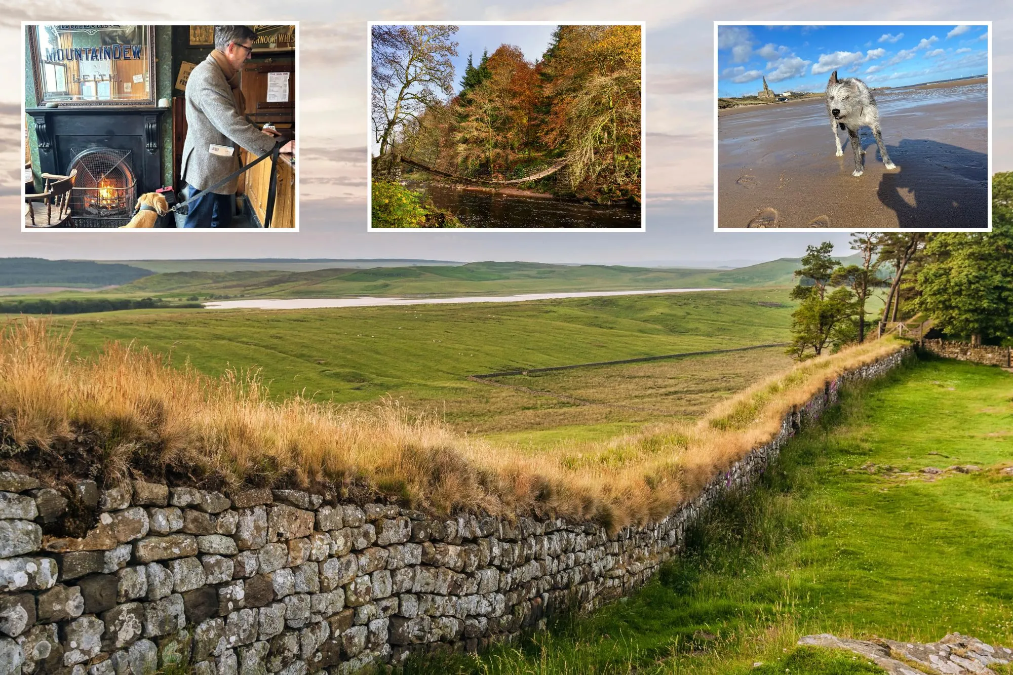 An image collage containing 4 images, Image 1 shows Dawn at Hadrian's Wall in North Cumbria, England, showing the stone wall covered in dry grass, and a green valley with a distant lake under a cloudy sky, Image 2 shows A scruffy gray dog on a wet sandy beach with a church and town in the background, Image 3 shows Two dogs on leashes with their owner at a bar in front of a fireplace, Image 4 shows Footbridge over a river in Allen Banks, Northumberland, surrounded by autumn trees